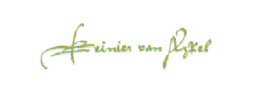 partner reinier van arkel